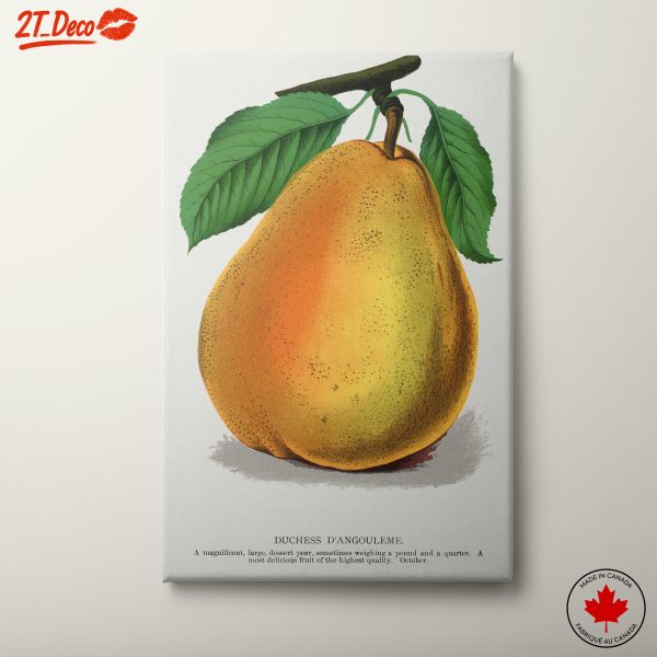 Stylized Pear Art for Kitchen Decor