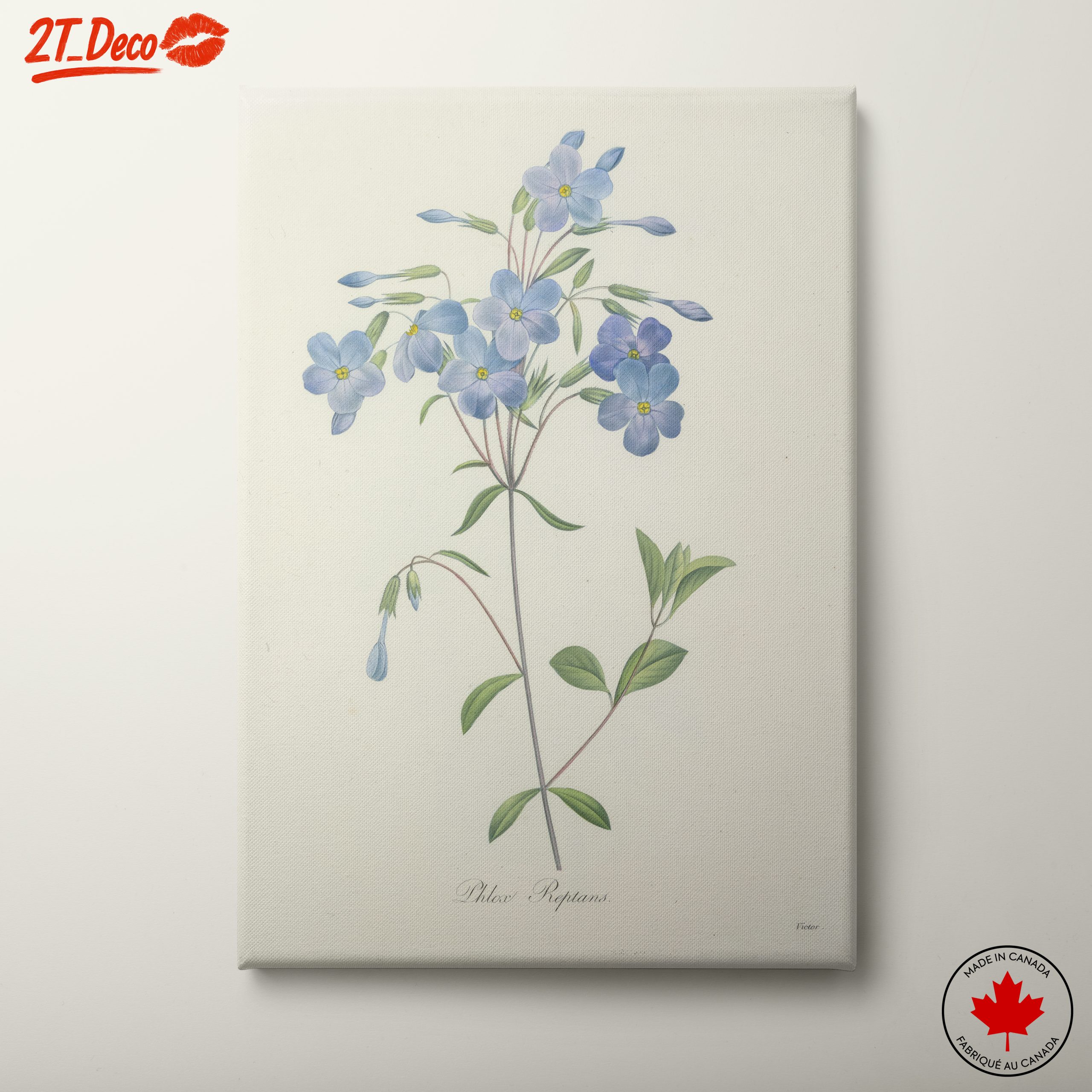 Delicate Blue Floral Botanical Art