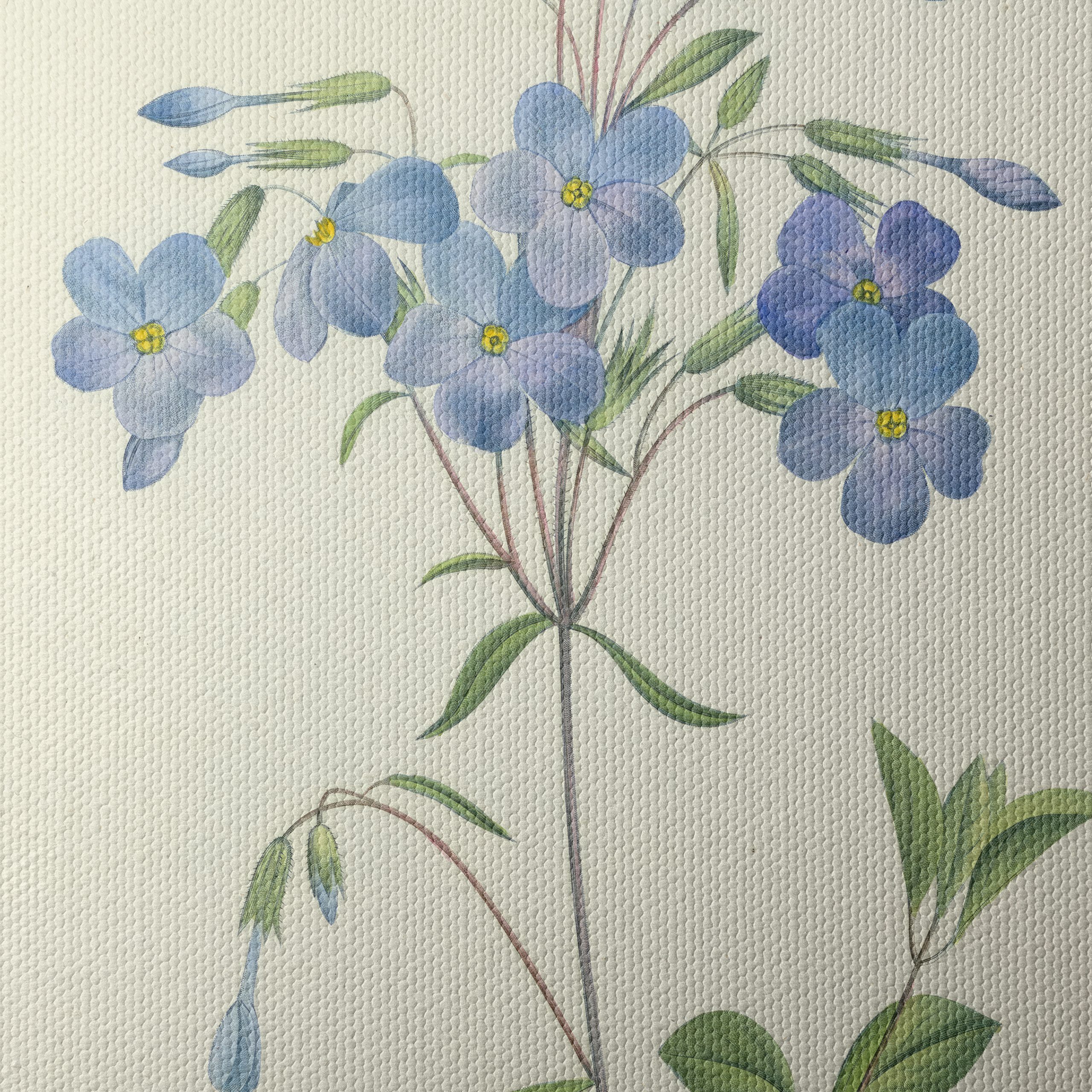 Delicate Blue Floral Botanical Art - Image 4