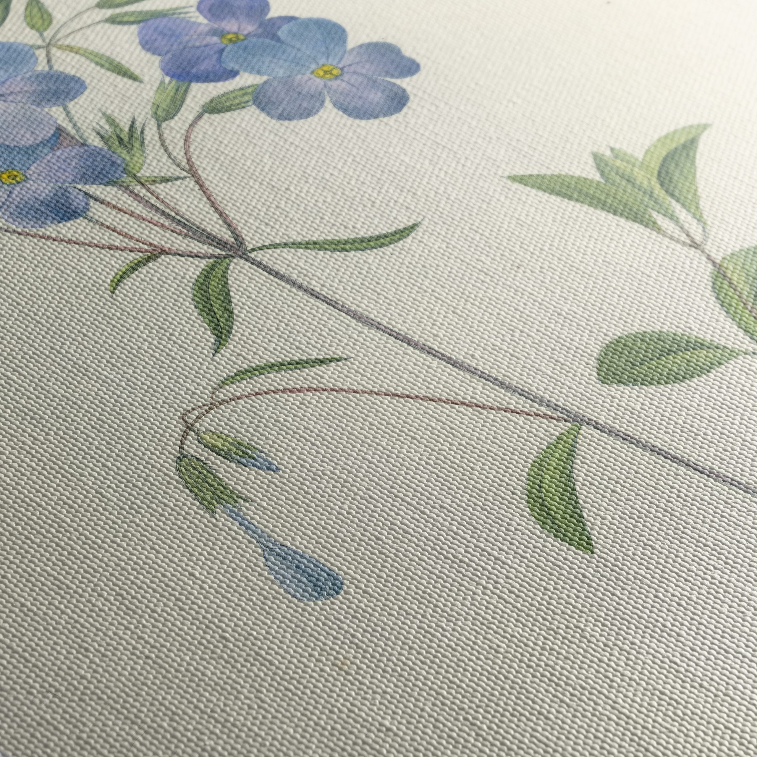 Delicate Blue Floral Botanical Art - Image 5