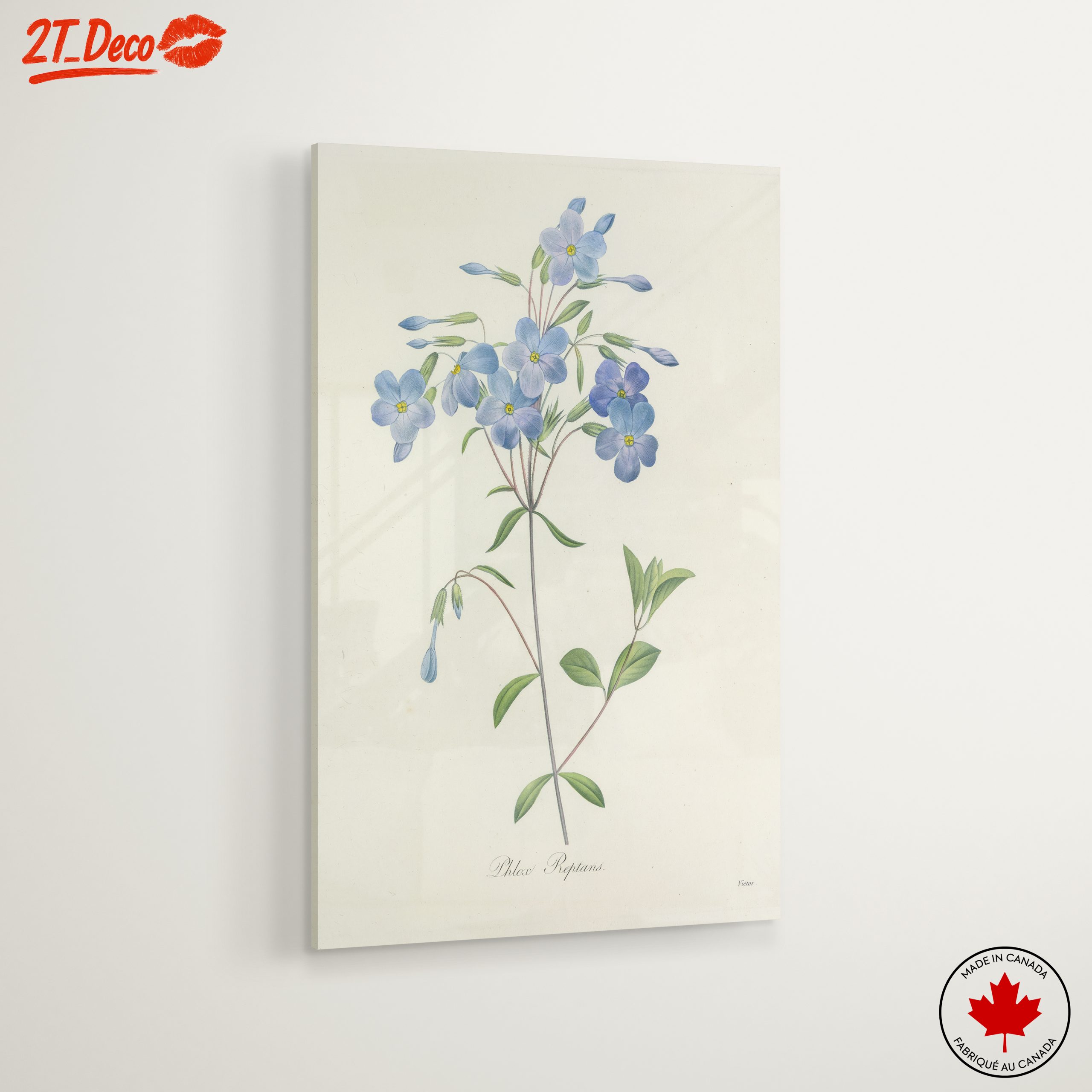 Delicate Blue Floral Botanical Art - Image 6