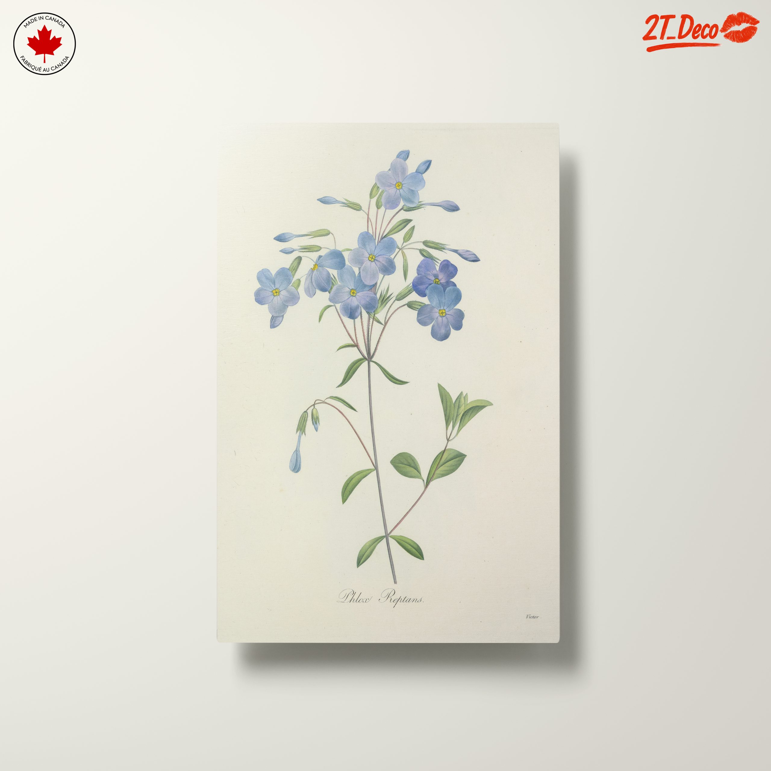 Delicate Blue Floral Botanical Art - Image 10