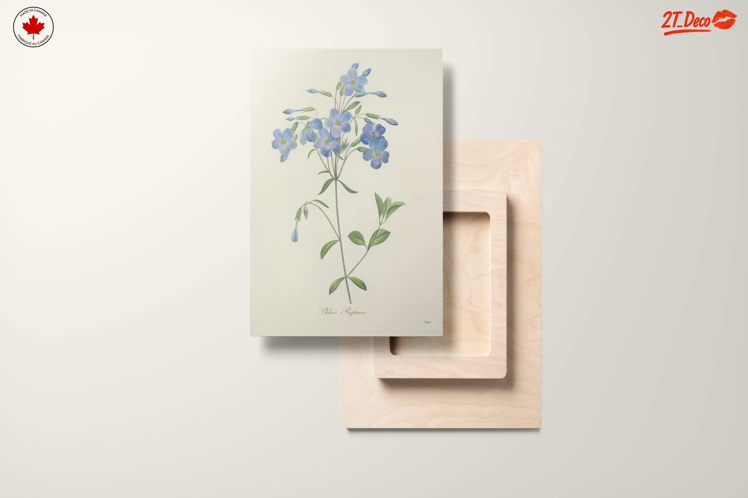 Delicate Blue Floral Botanical Art - Image 11