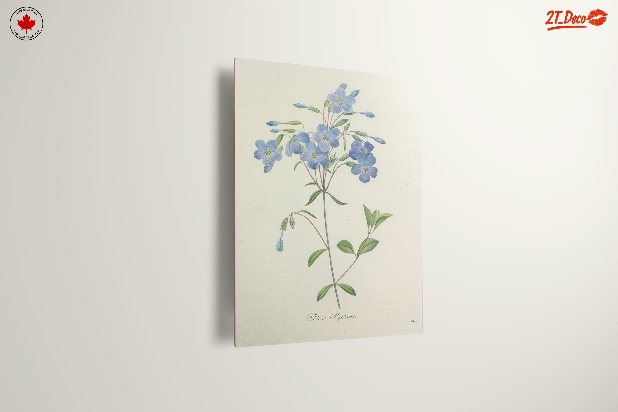 Delicate Blue Floral Botanical Art - Image 13