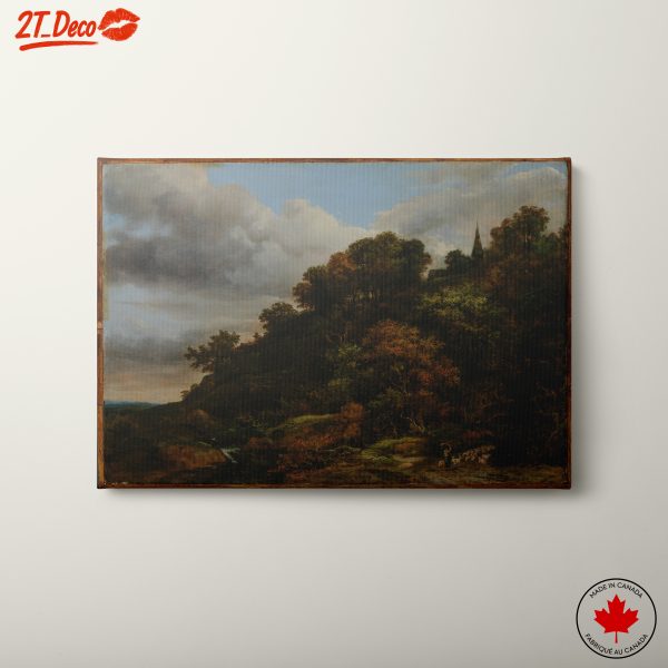 Scenic Adventure Landscape with Towering Trees