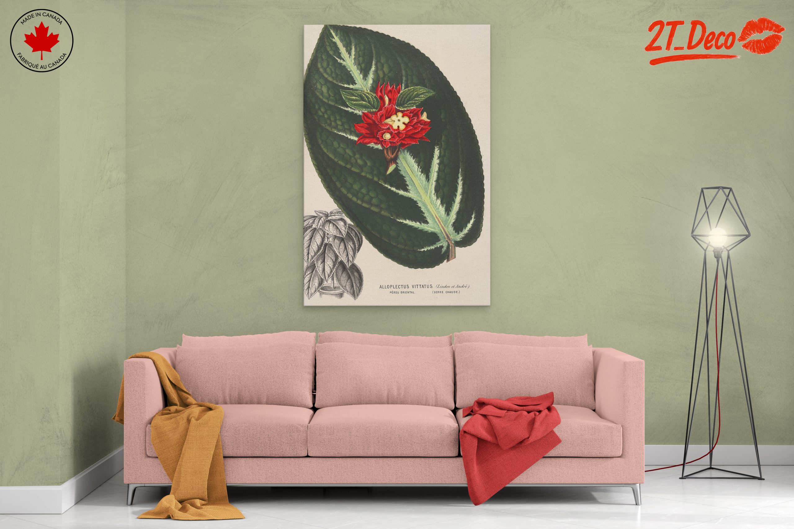 Vibrant Botanical Illustration of Alloplectus Vittatus - Image 2