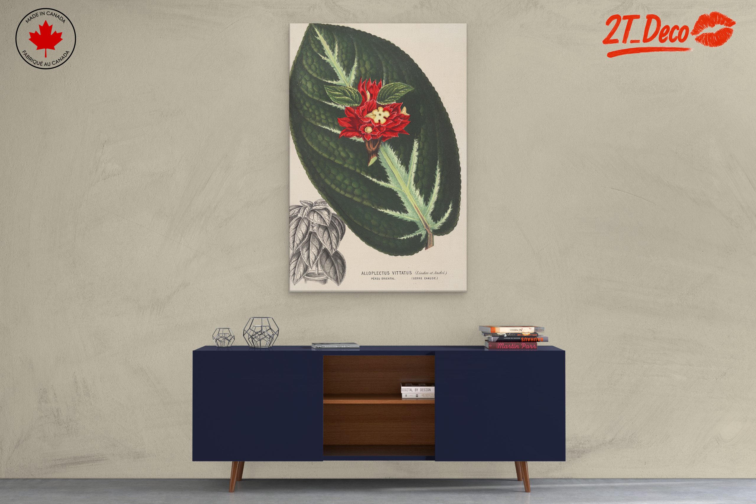 Vibrant Botanical Illustration of Alloplectus Vittatus - Image 3