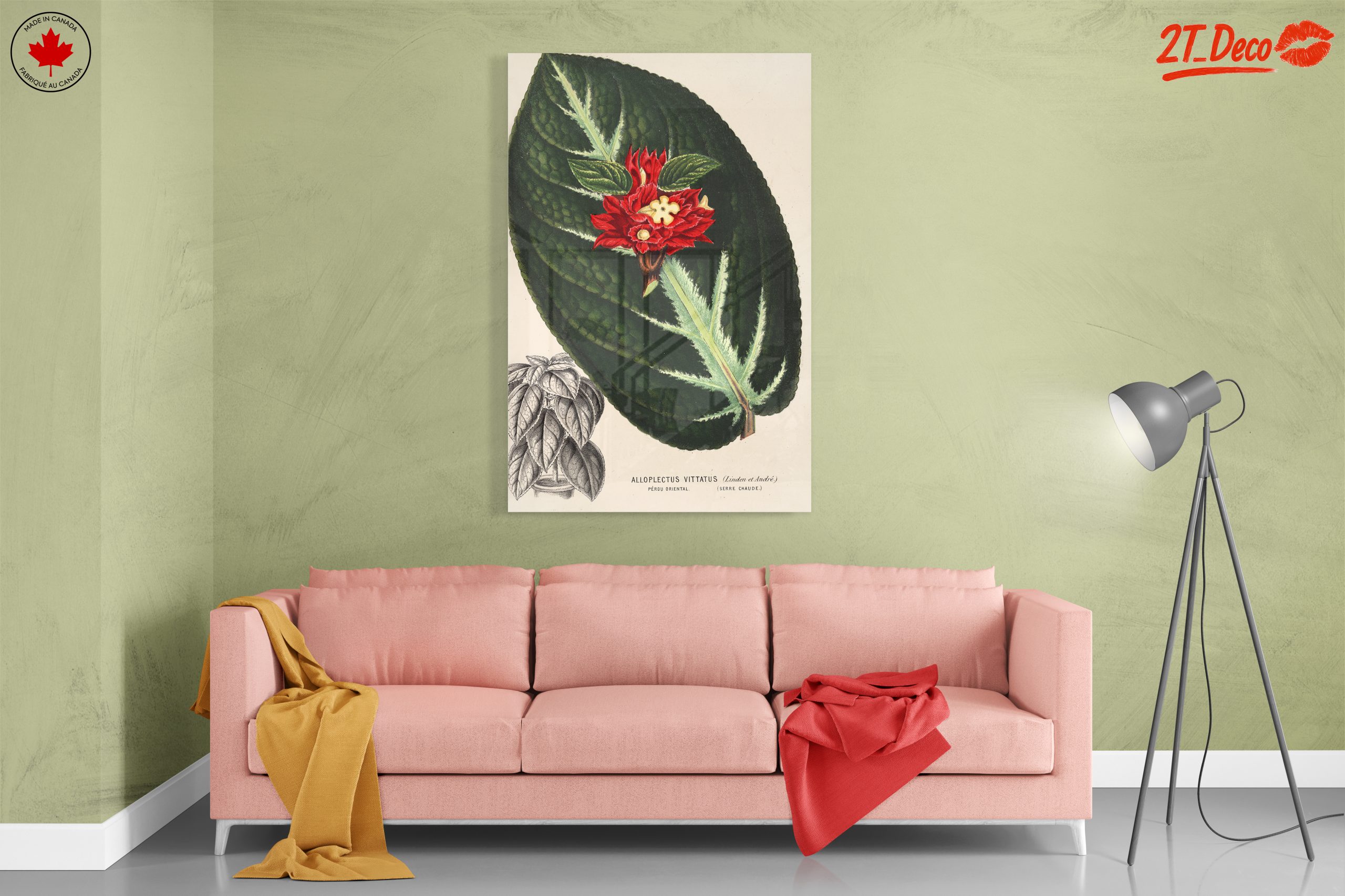 Vibrant Botanical Illustration of Alloplectus Vittatus - Image 7