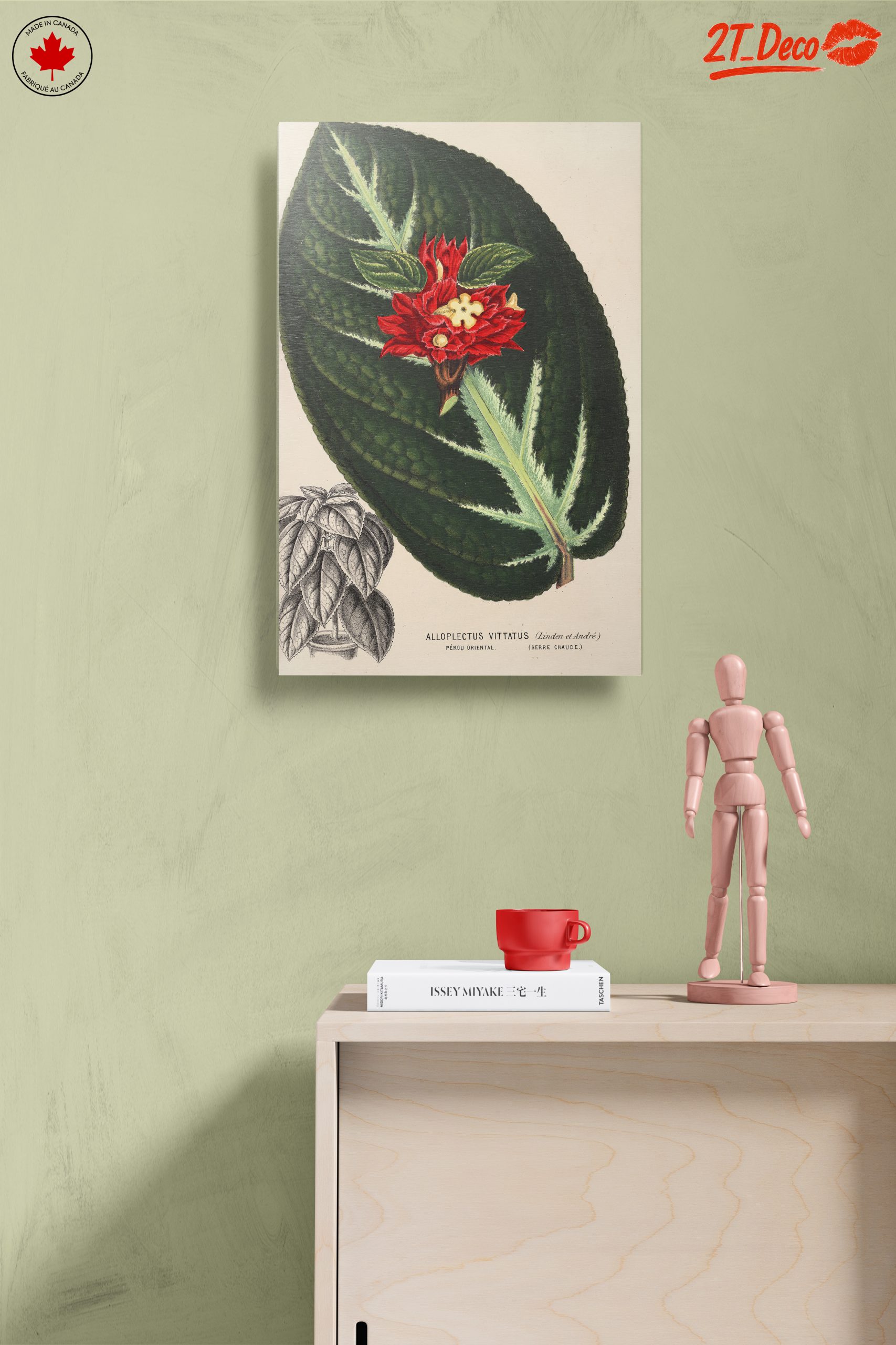 Vibrant Botanical Illustration of Alloplectus Vittatus - Image 14