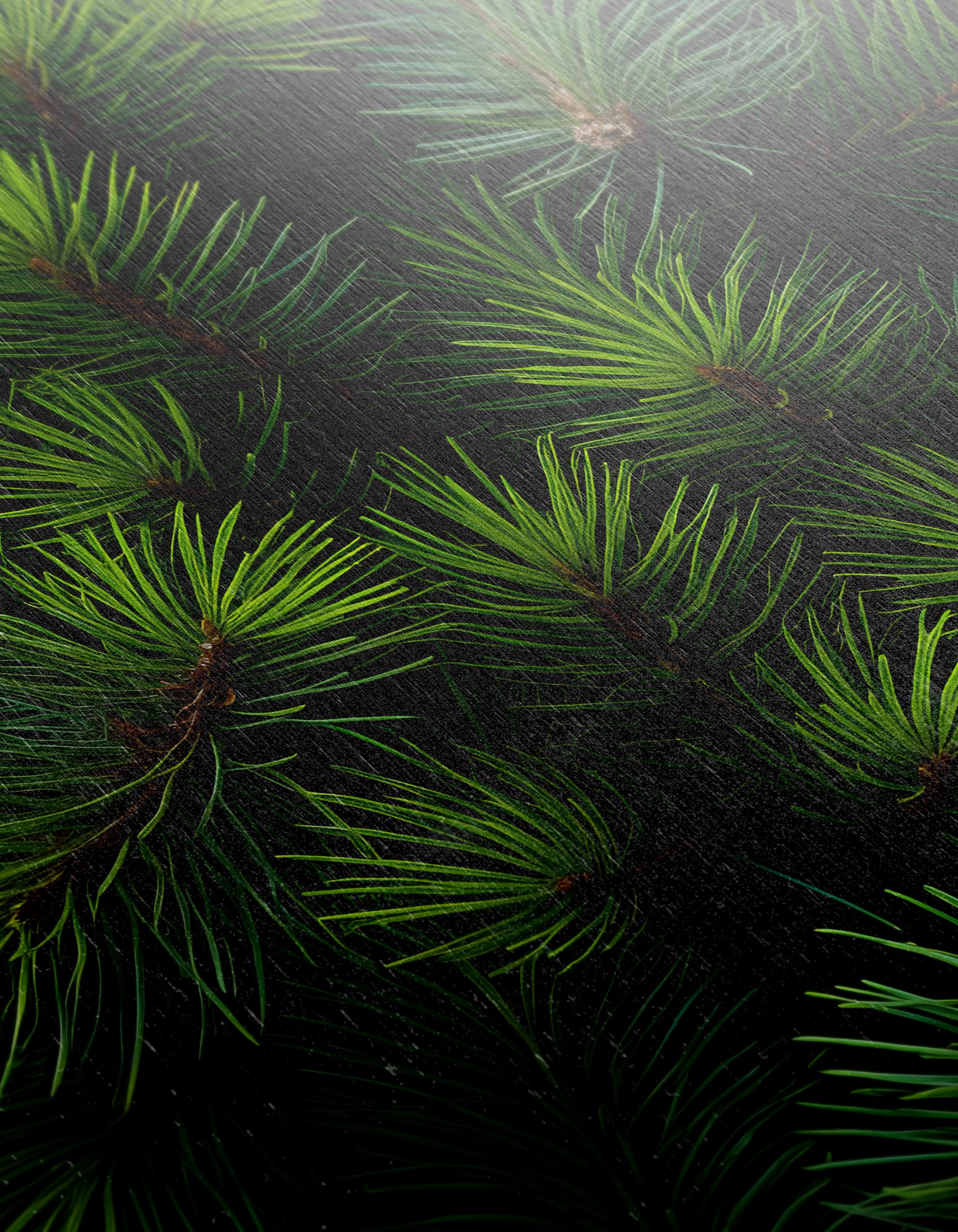 Close-Up Botanical Foliage Art - Image 12
