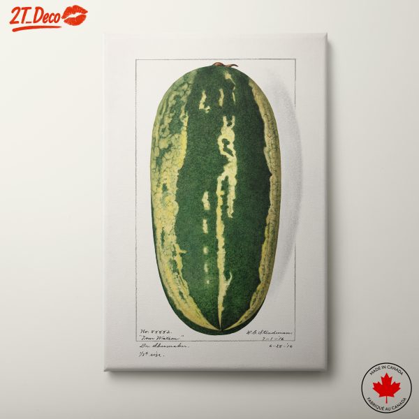 Stylized Watermelon Art Print