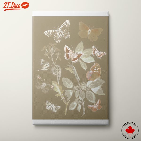 Collection of Beautiful Butterflies on a Leafy Background