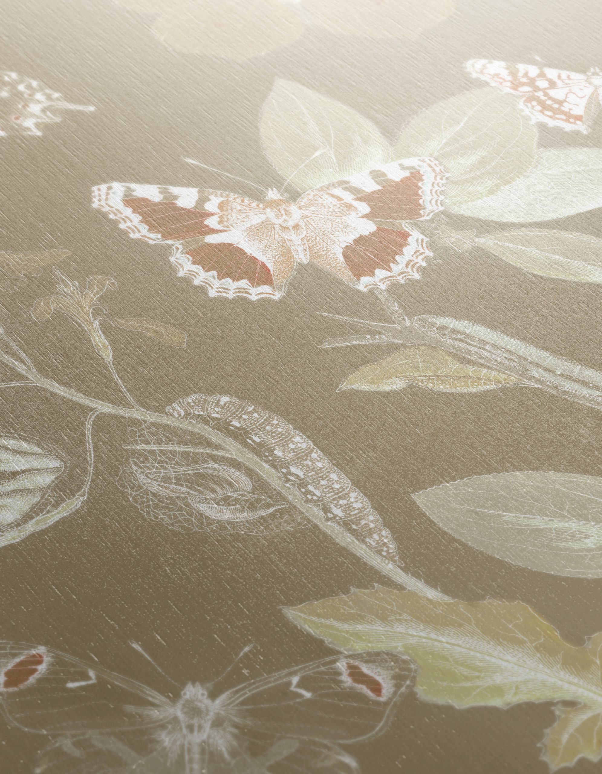 Collection of Beautiful Butterflies on a Leafy Background - Image 12
