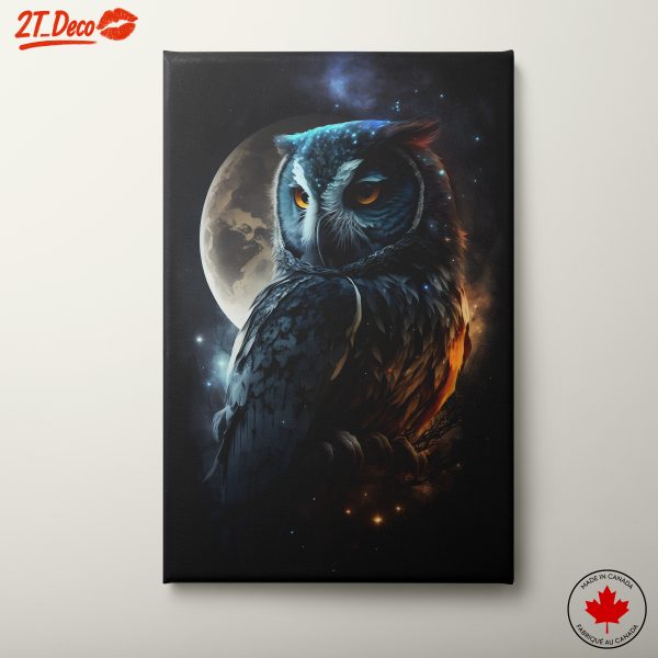 Whimsical Owl Against Cosmic Background