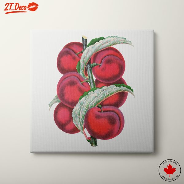 Stylized Abstract Food Representation