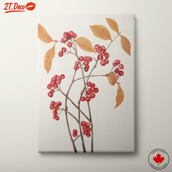 Delicate Botanical Illustration of Berries and Leaves