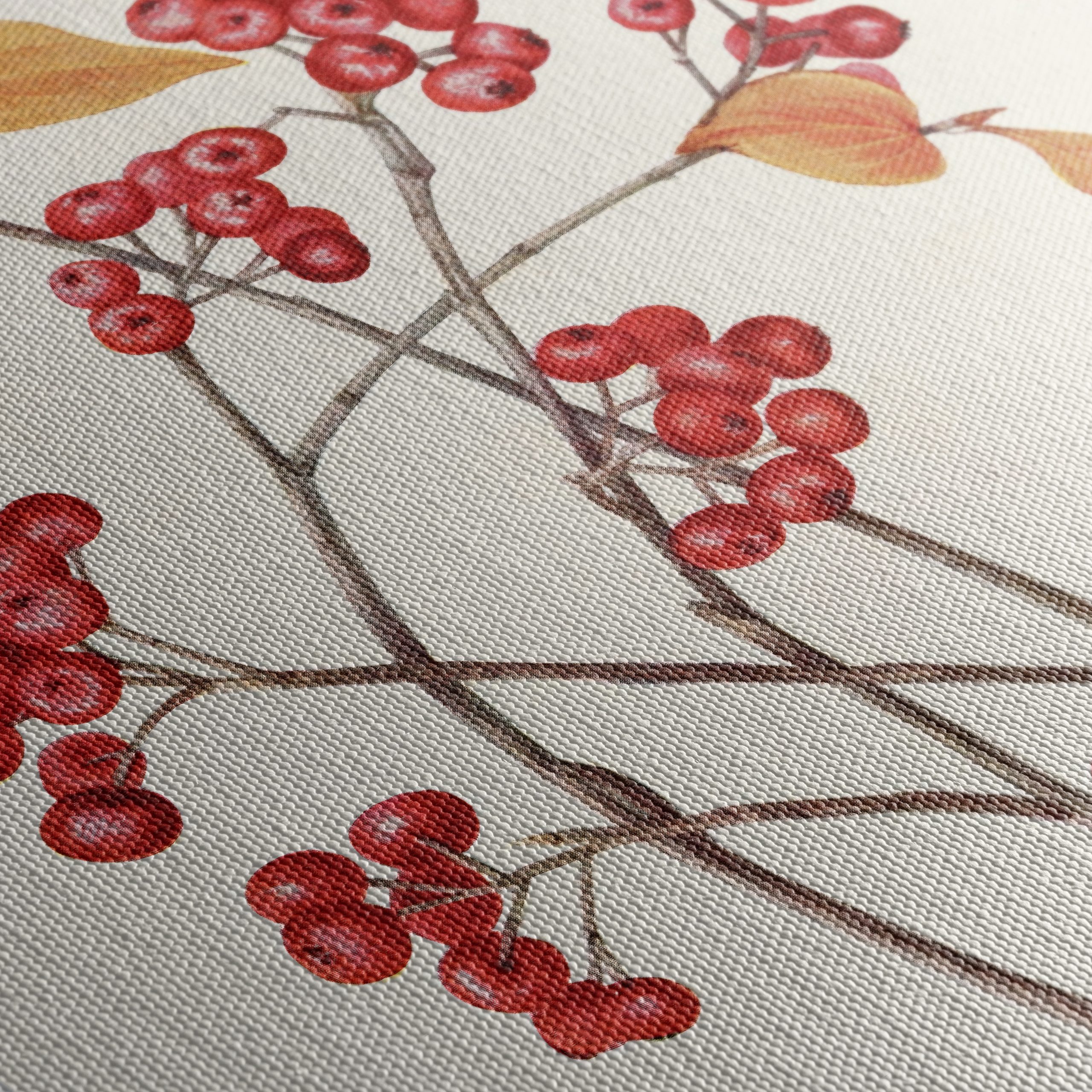 Delicate Botanical Illustration of Berries and Leaves - Image 5