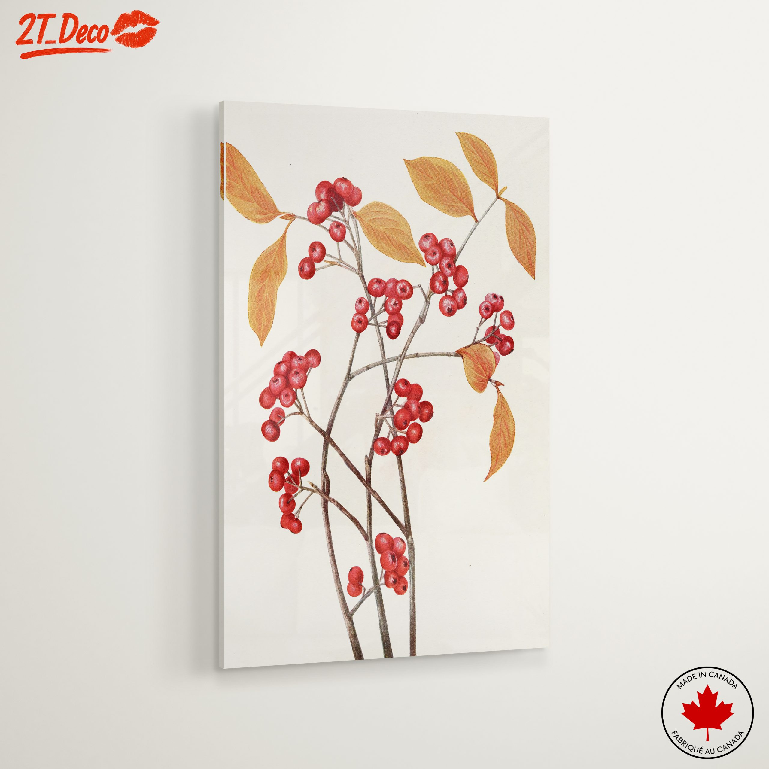 Delicate Botanical Illustration of Berries and Leaves - Image 6