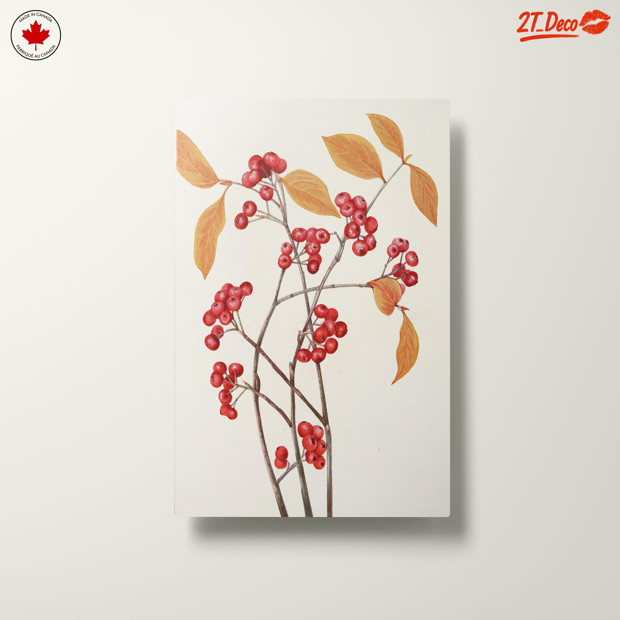 Delicate Botanical Illustration of Berries and Leaves - Image 10