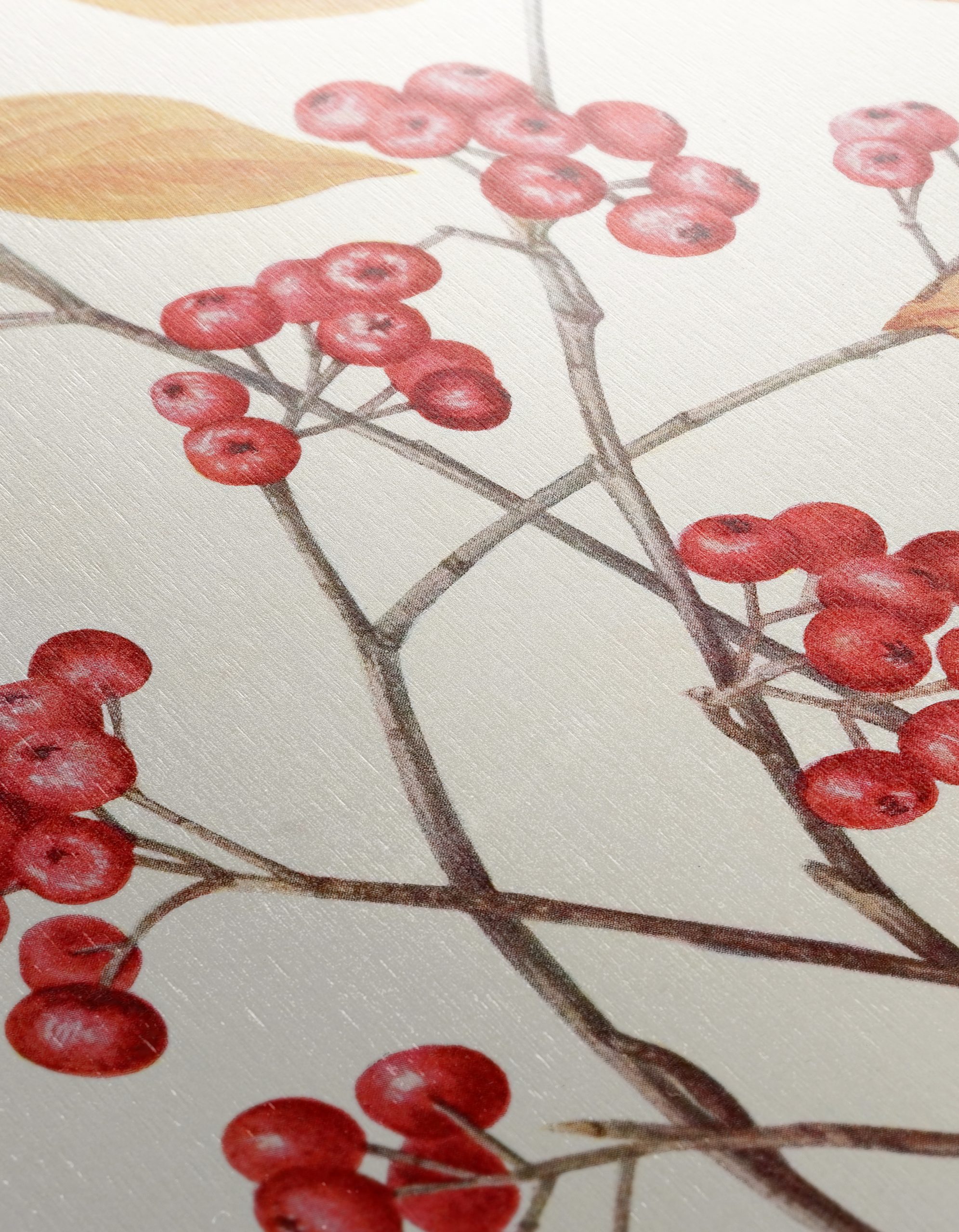 Delicate Botanical Illustration of Berries and Leaves - Image 12