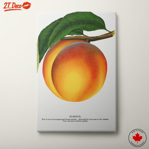 Abstract Peach Artwork for Home Decor