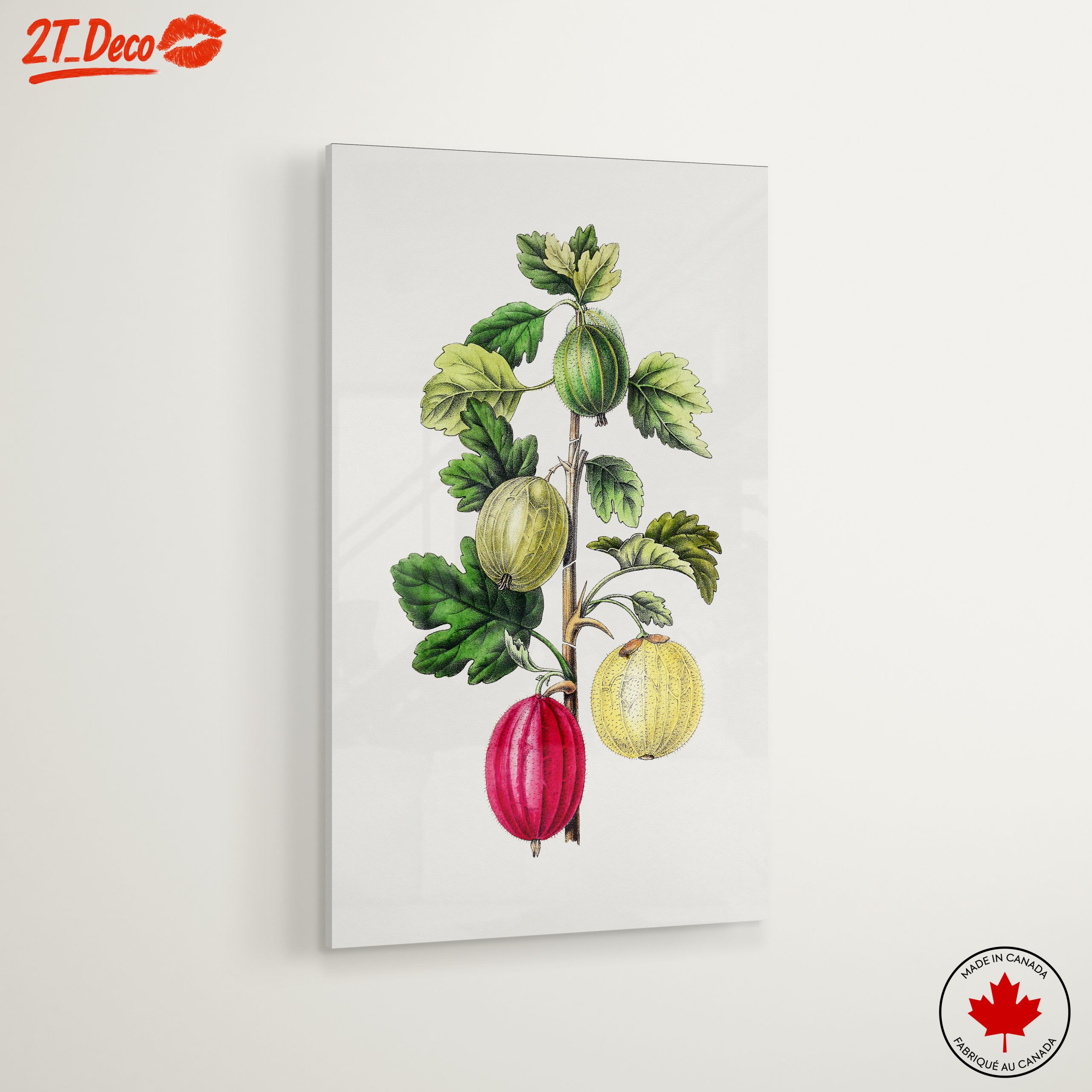 Gooseberry Botanical Illustration Art - Image 6