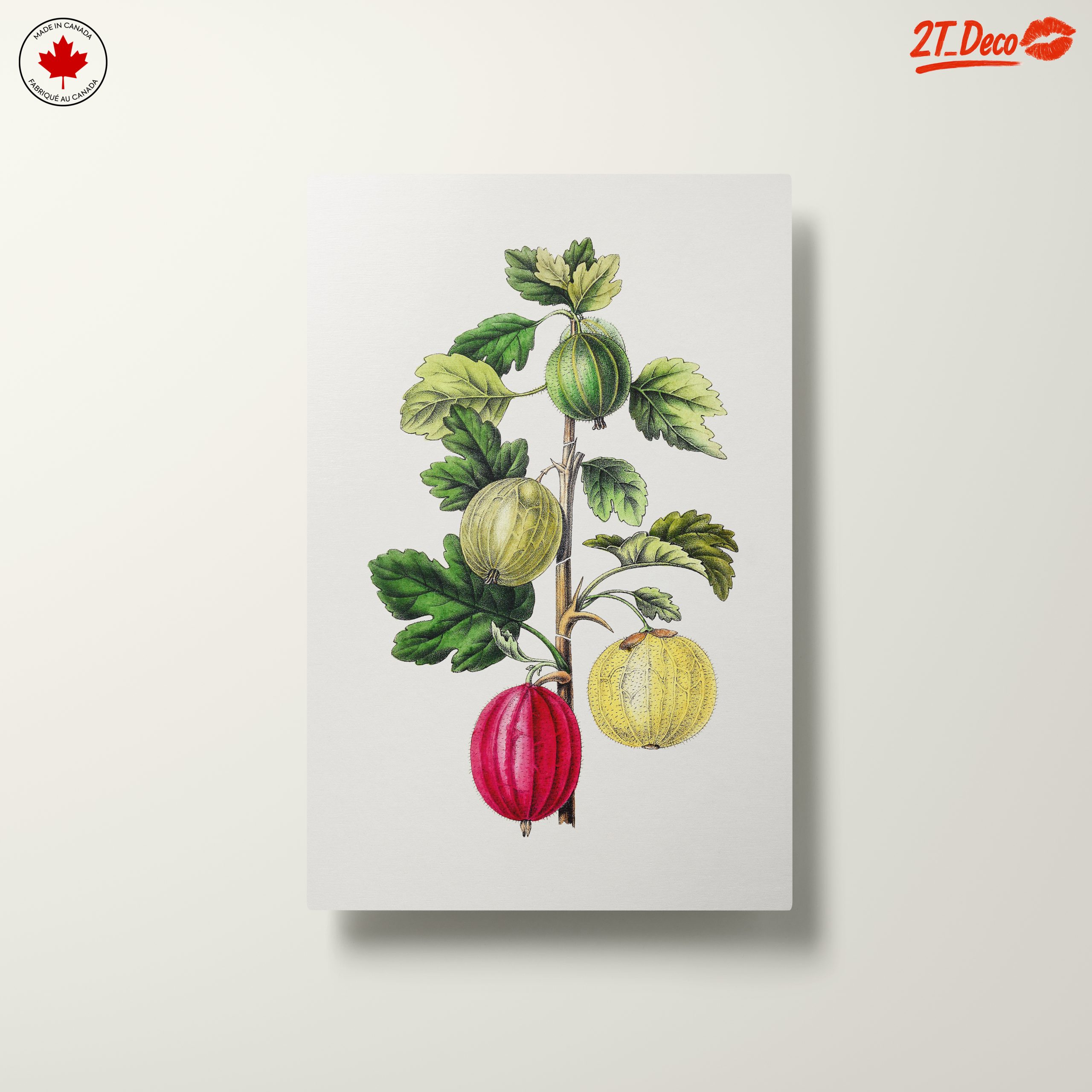 Gooseberry Botanical Illustration Art - Image 10