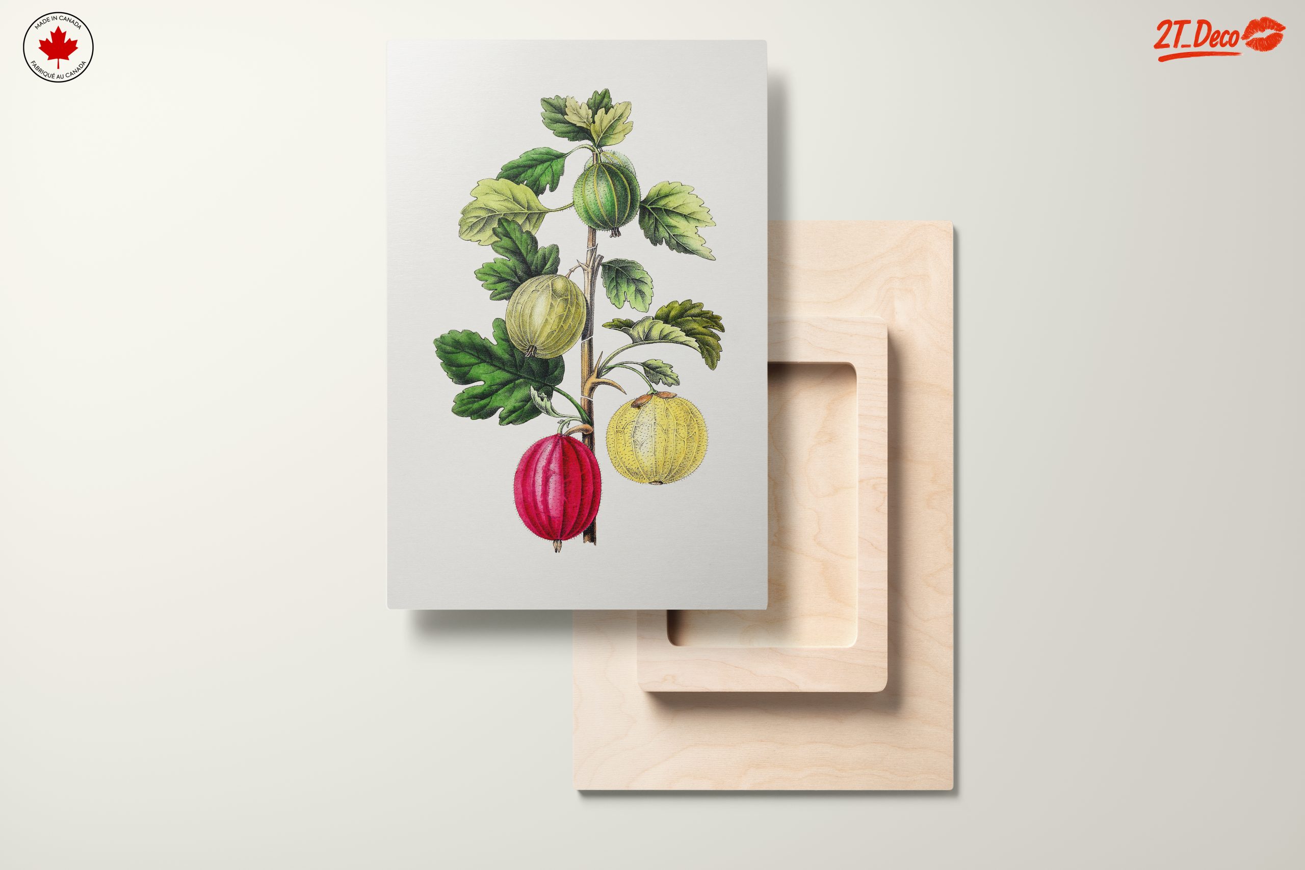 Gooseberry Botanical Illustration Art - Image 11