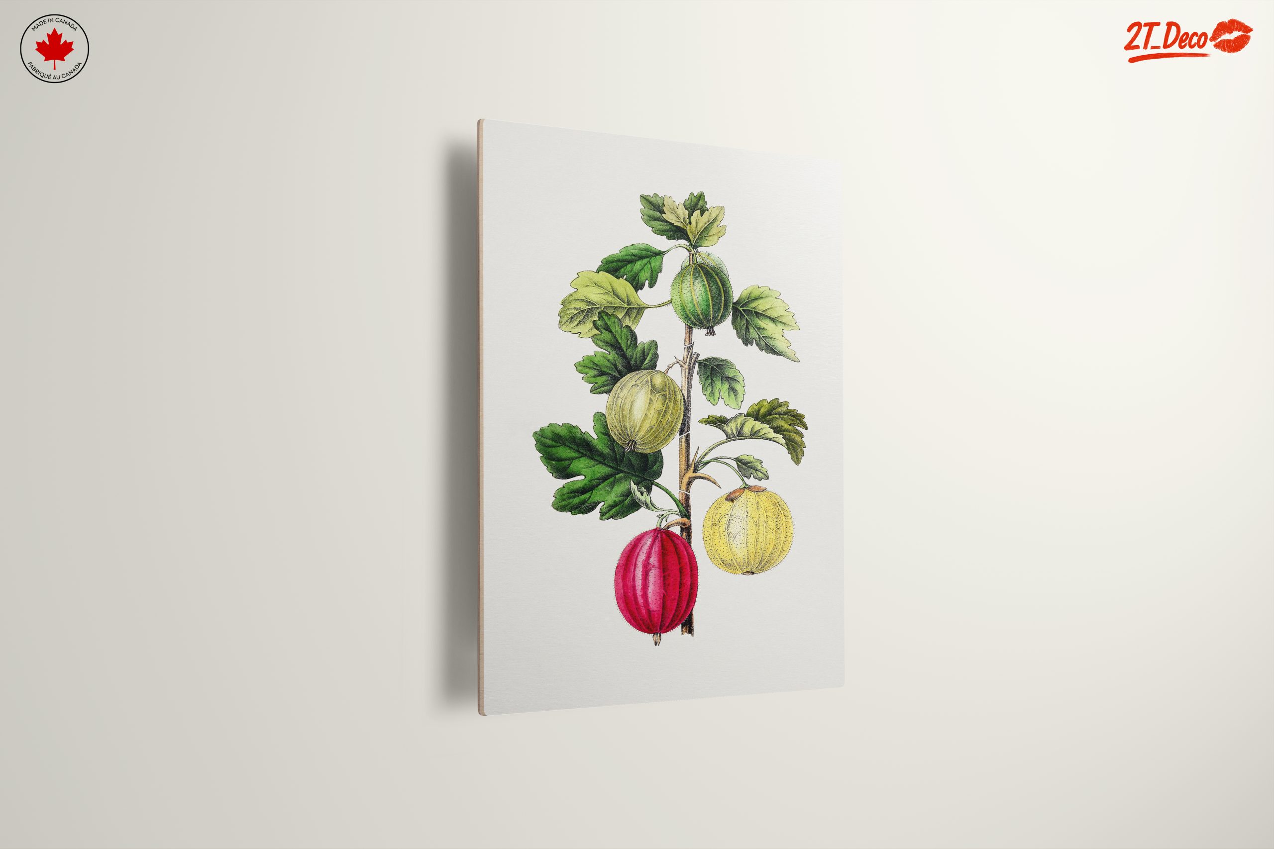 Gooseberry Botanical Illustration Art - Image 13