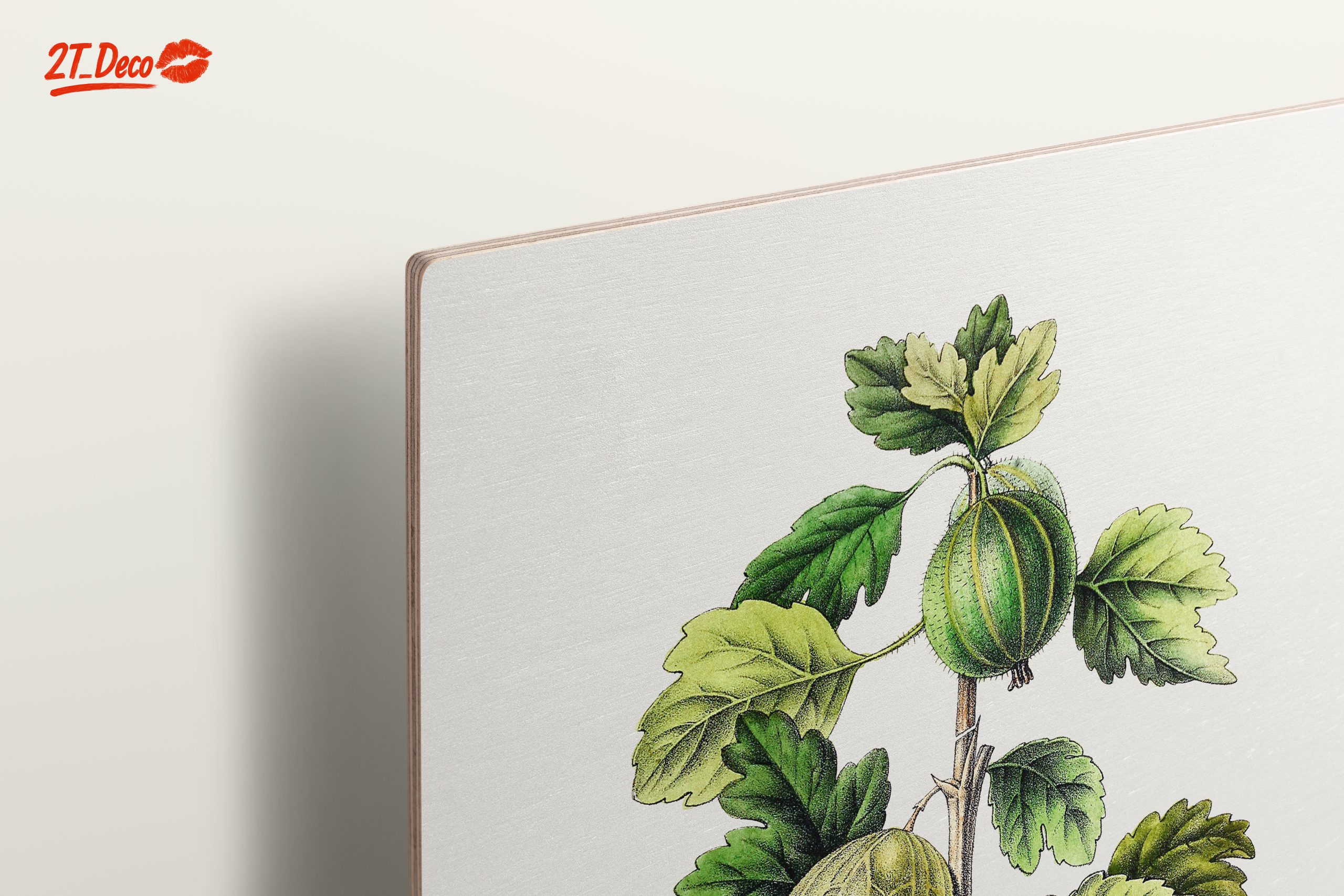 Gooseberry Botanical Illustration Art - Image 15