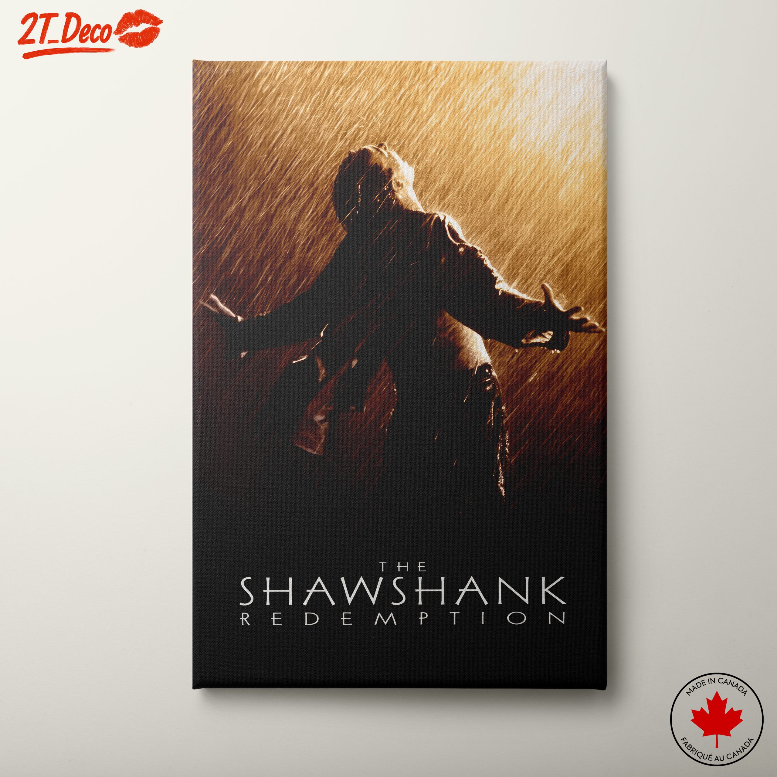 The Shawshank Redemption Emotional Scene Art