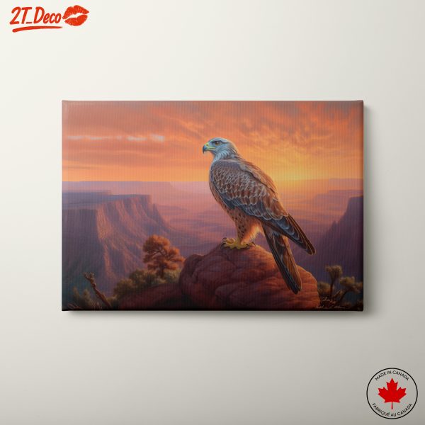 Majestic Hawk Against a Sunset Landscape