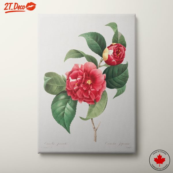 Stunning Botanical Camellia Art