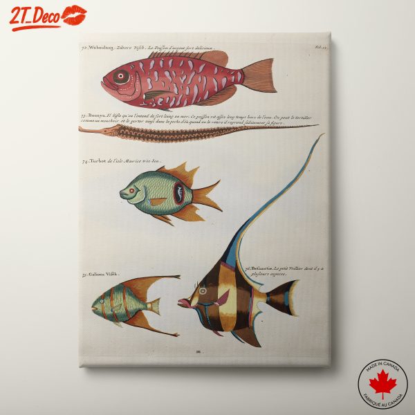 Colorful Illustrations of Diverse Aquatic Life