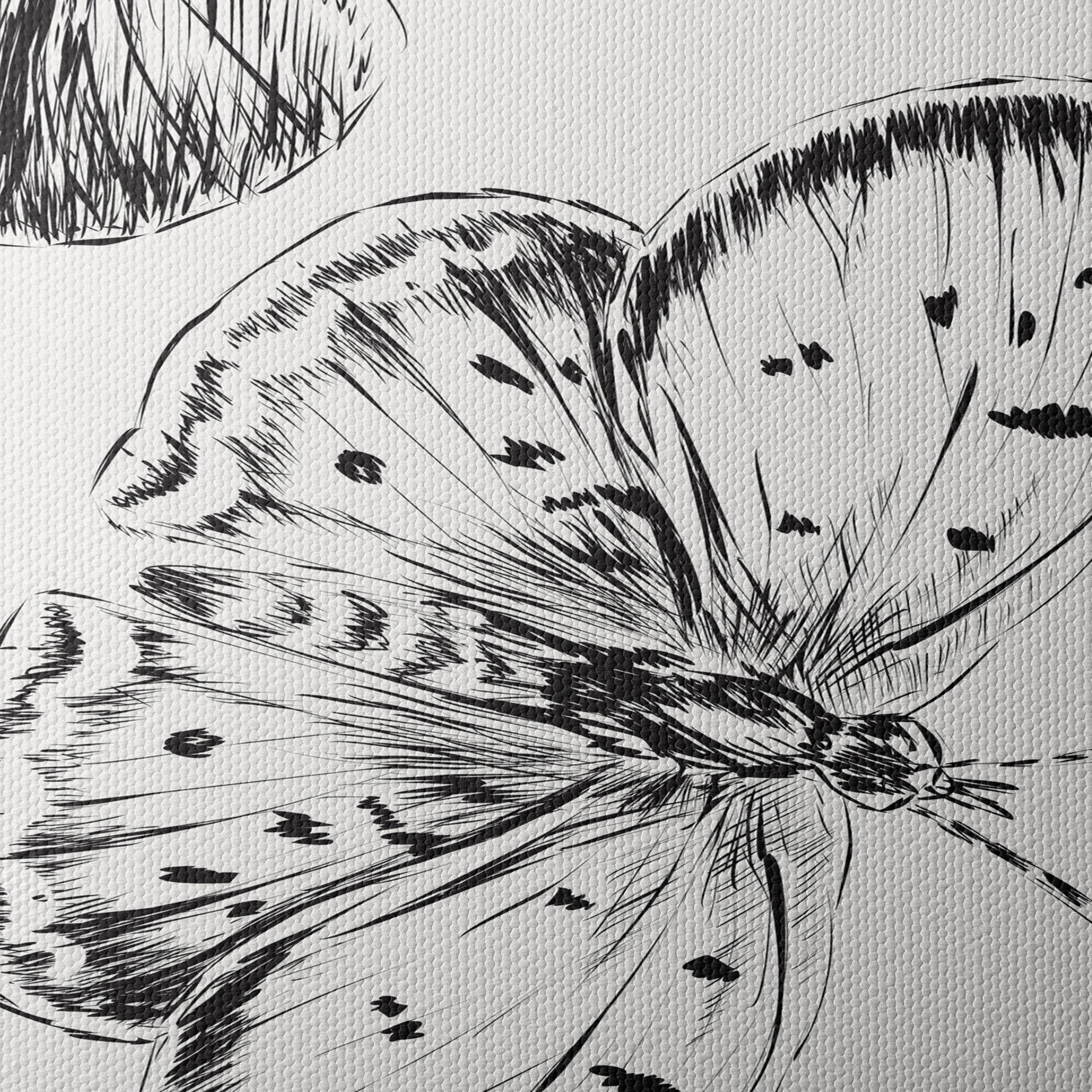Beautiful Butterfly Illustrations for Wall Art - Image 4