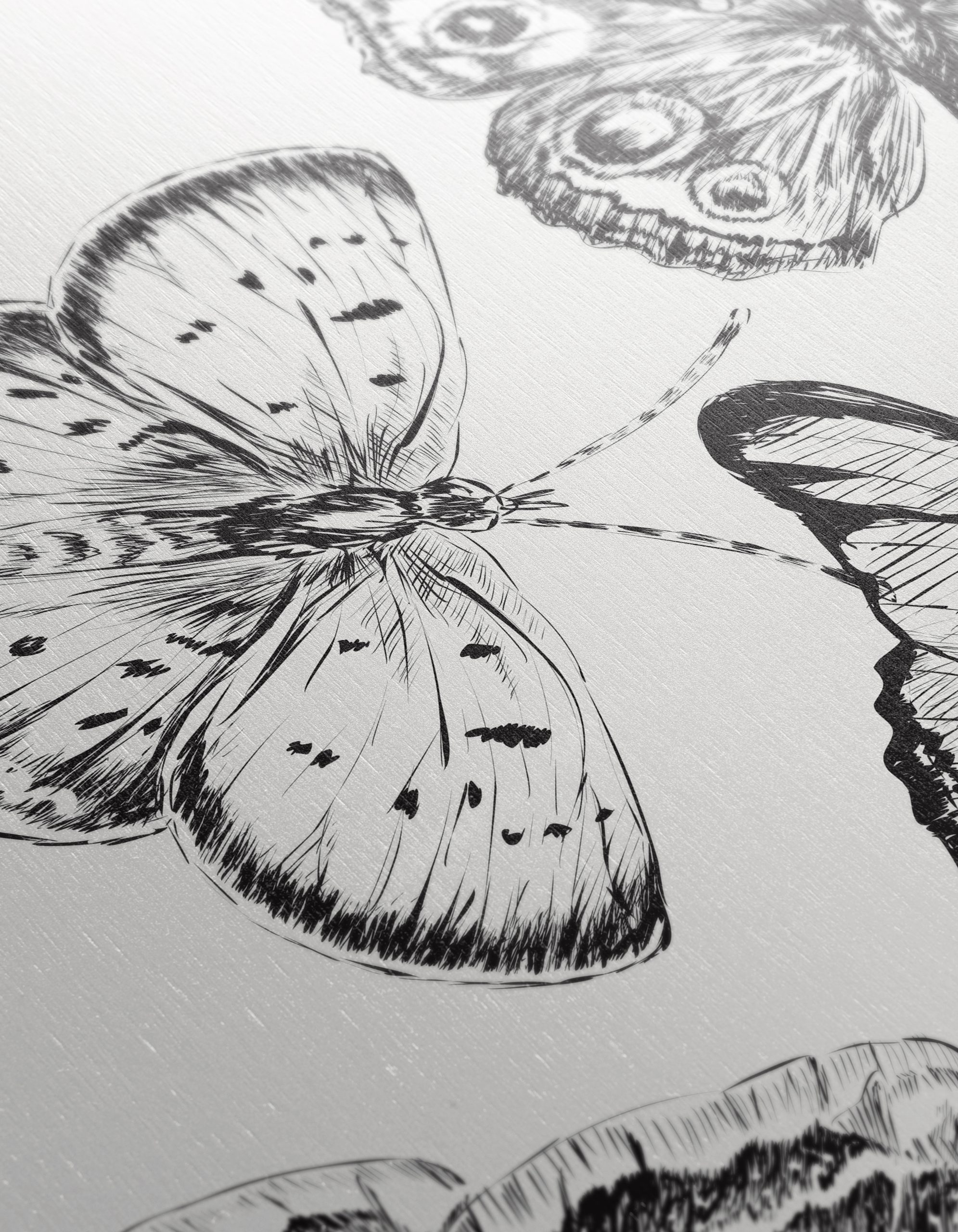 Beautiful Butterfly Illustrations for Wall Art - Image 12
