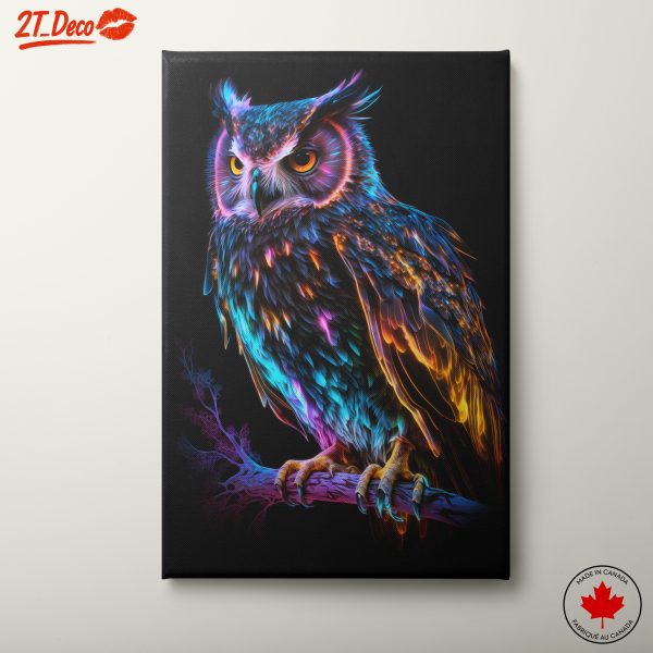 Vibrant Colorful Owl Artwork
