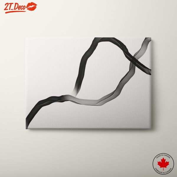 Fluid Monochrome Abstract Lines Art