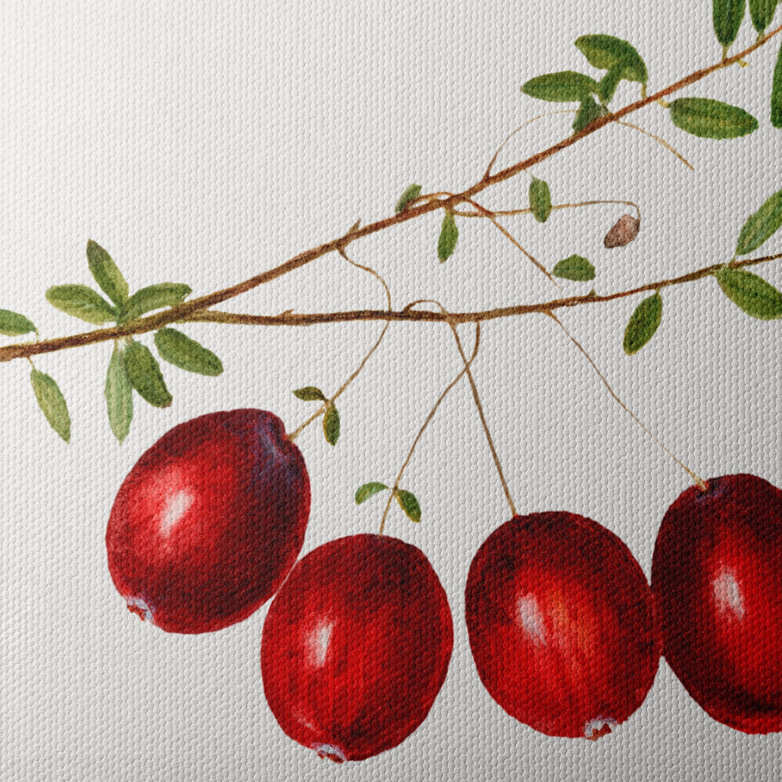 Realistic Botanical Illustration of Red Berries - Image 4