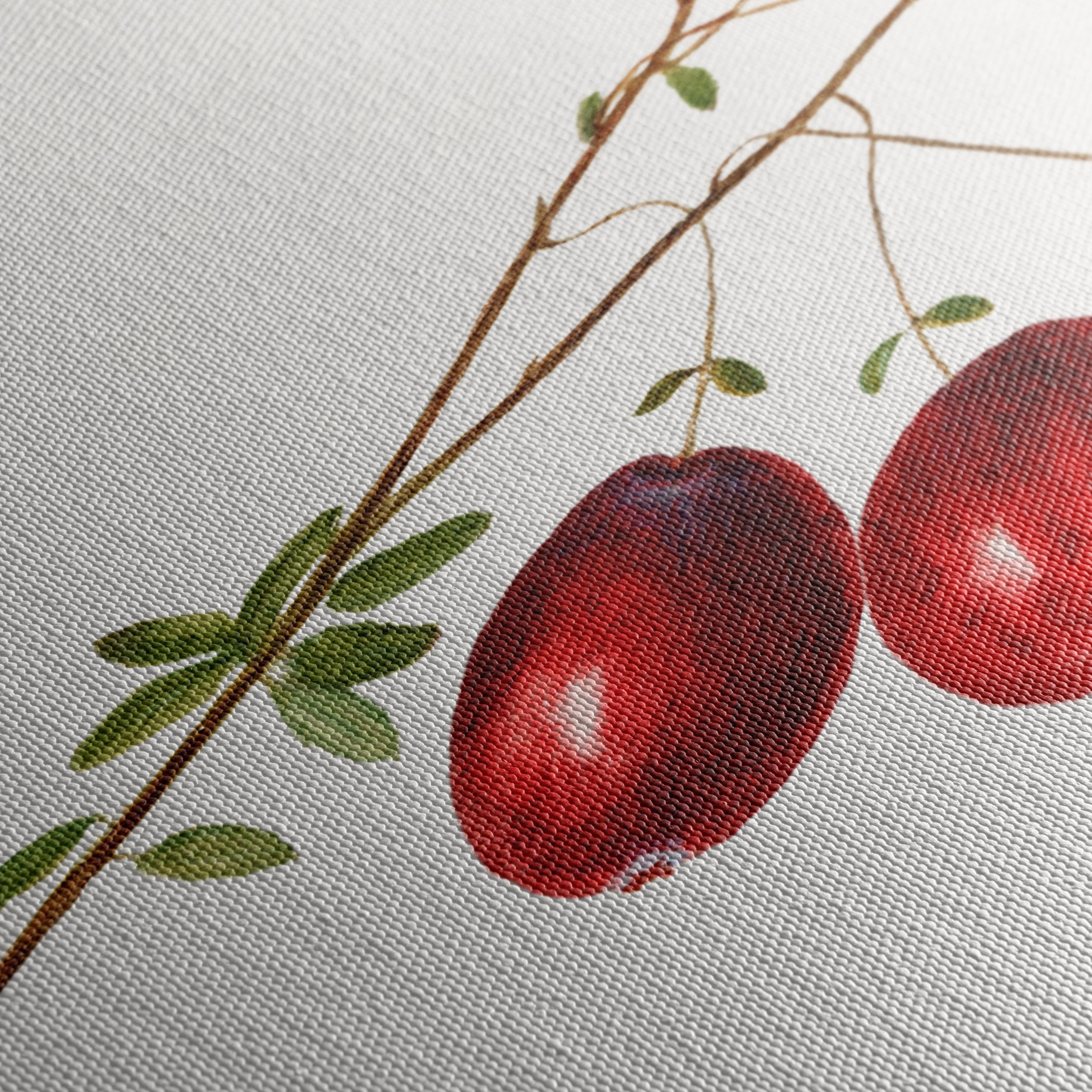 Realistic Botanical Illustration of Red Berries - Image 5