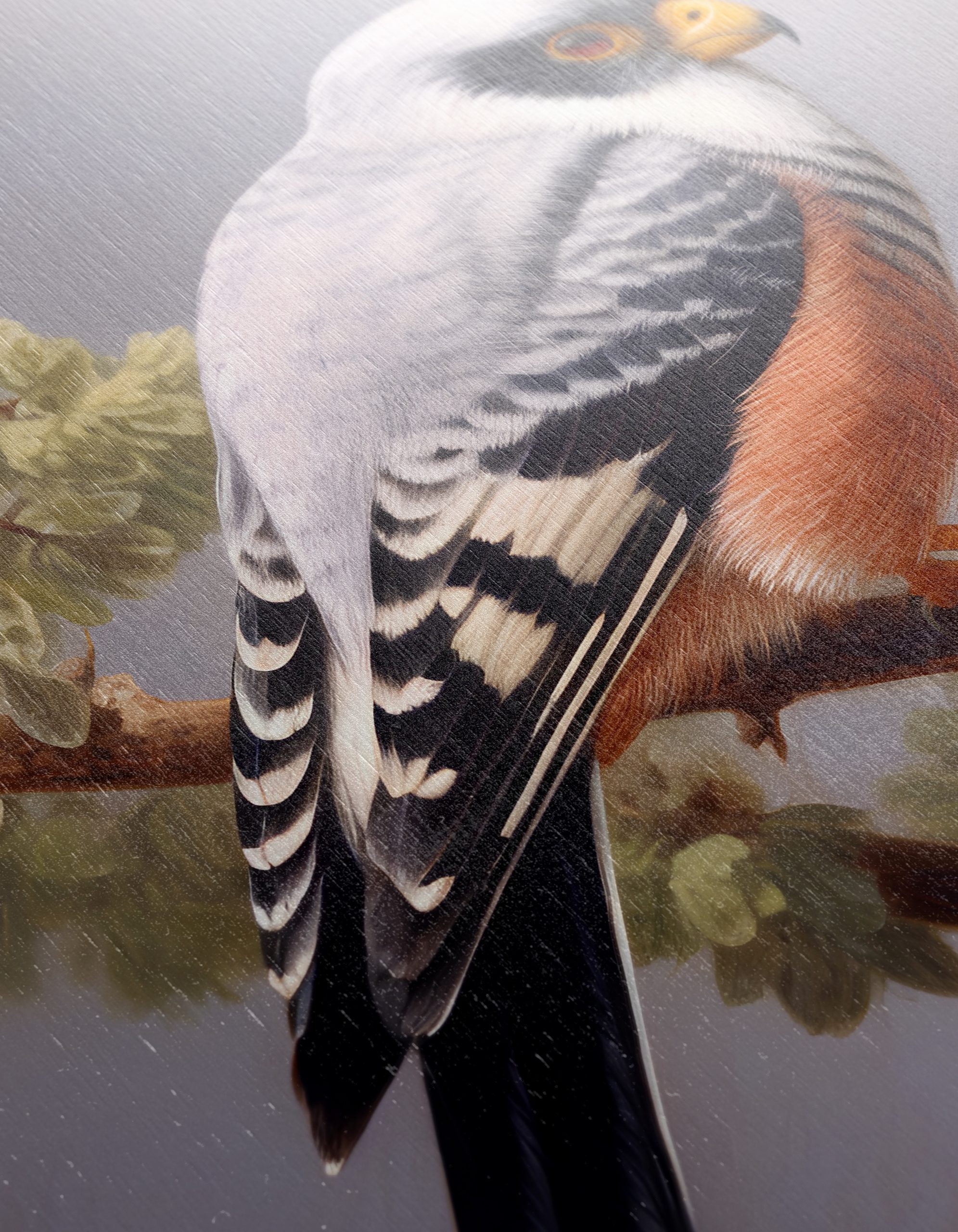 Stunning Bird Perched on Branch Artwork - Image 12