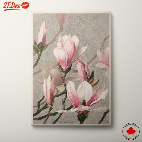 Beautiful Botanical Magnolia Artwork