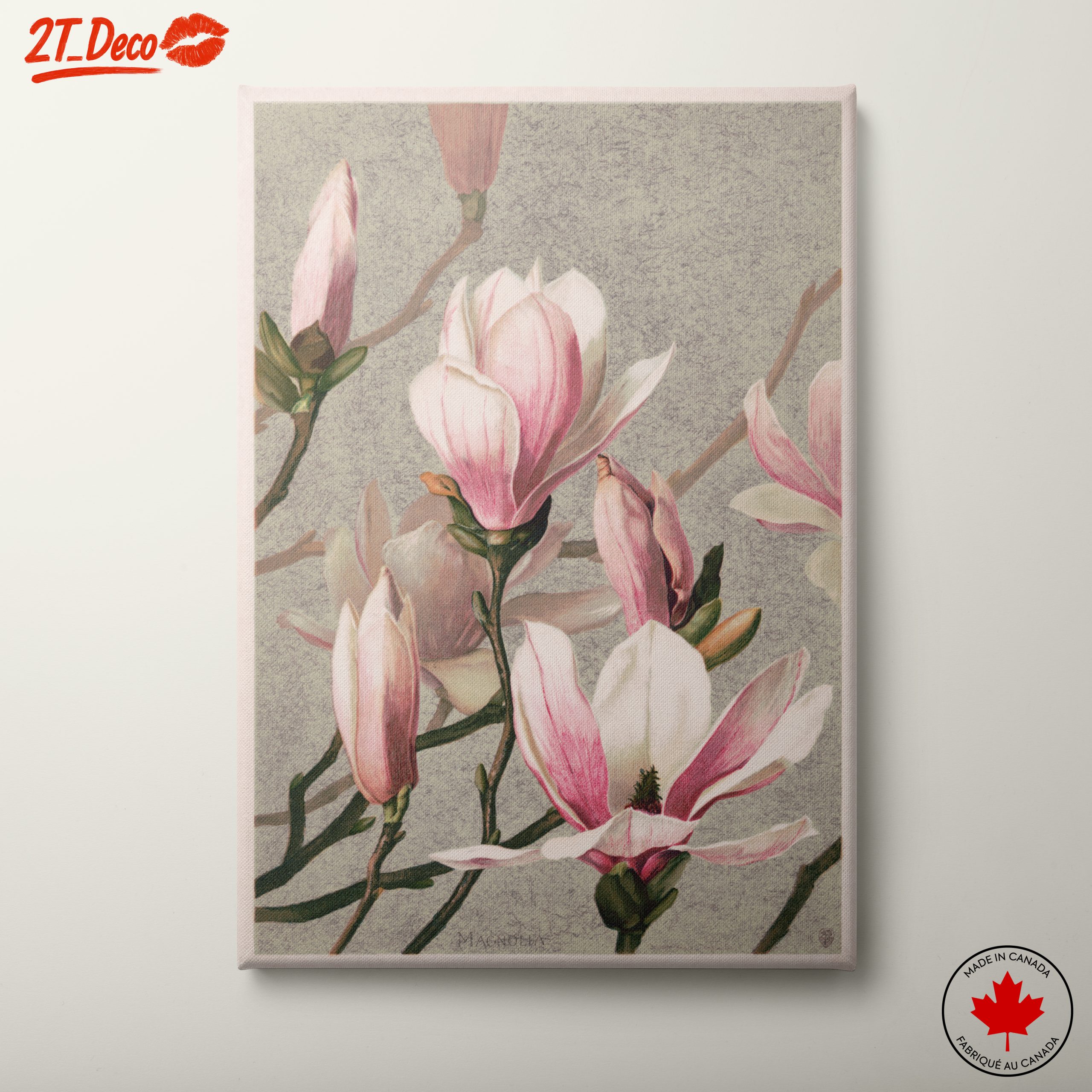 Beautiful Botanical Magnolia Artwork