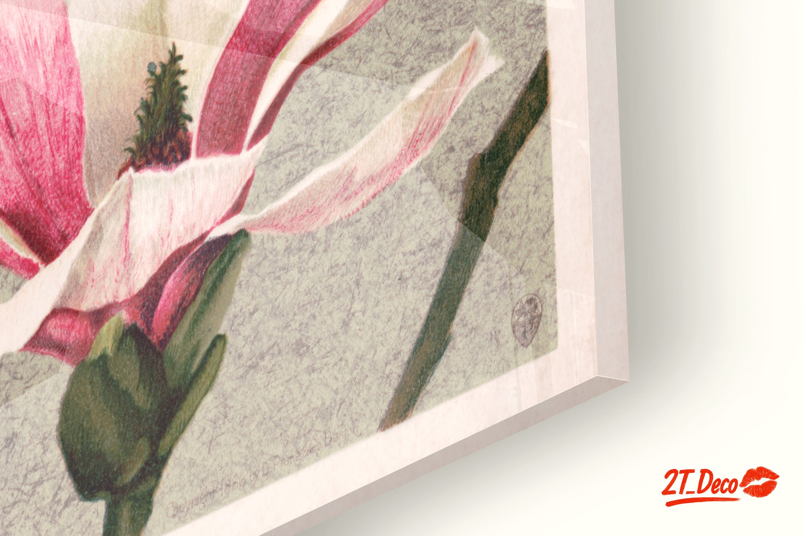 Beautiful Botanical Magnolia Artwork - Image 9