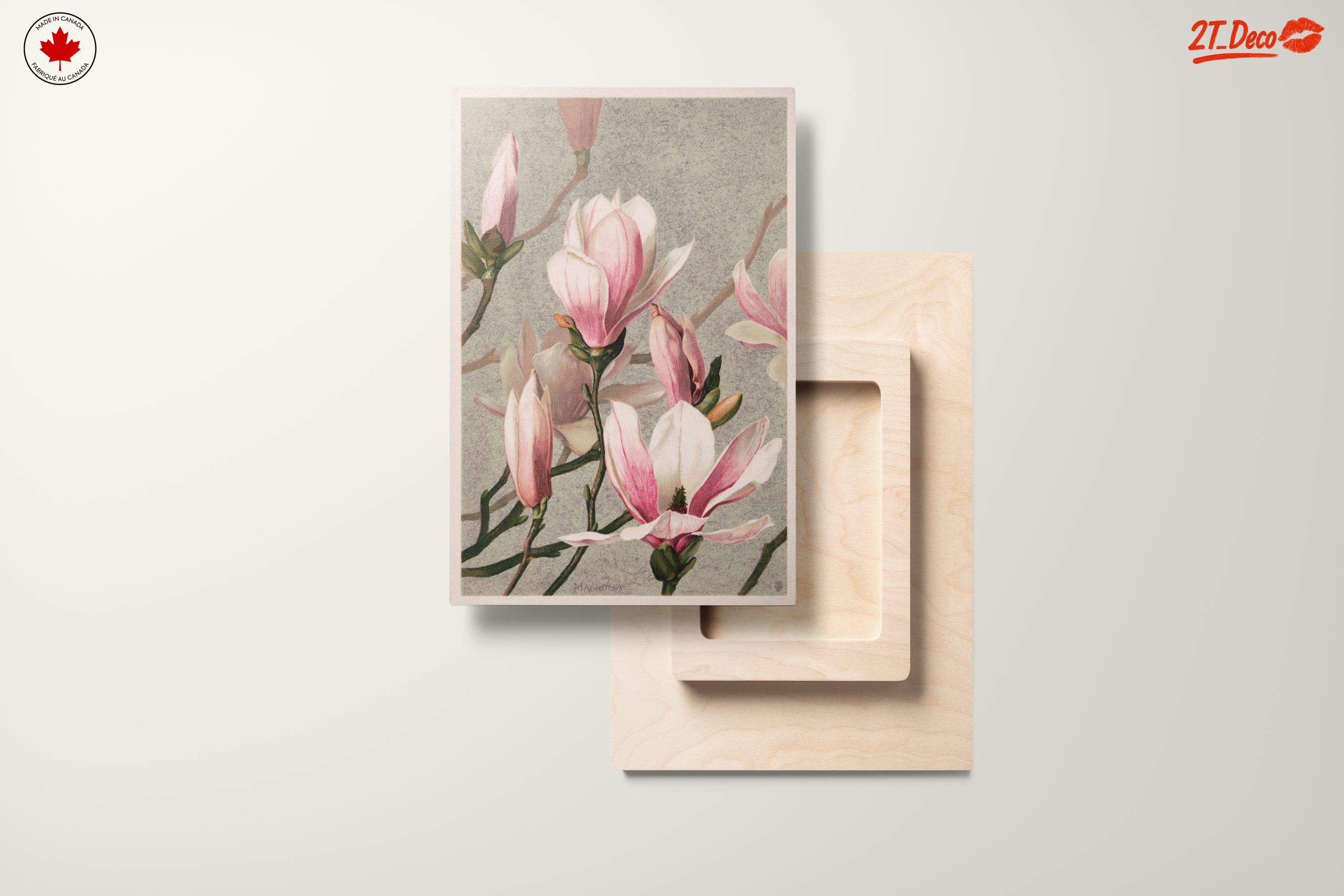 Beautiful Botanical Magnolia Artwork - Image 11