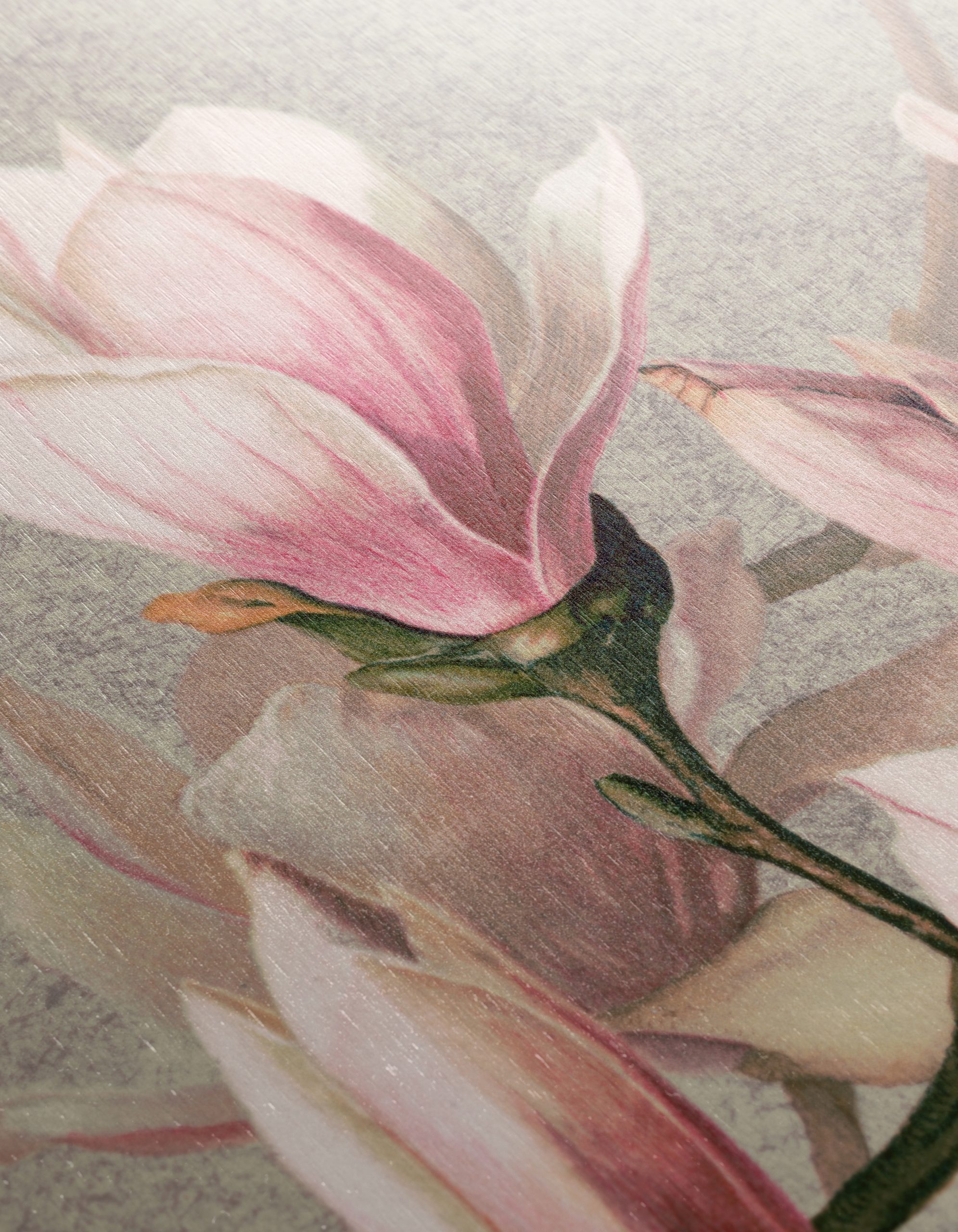 Beautiful Botanical Magnolia Artwork - Image 12