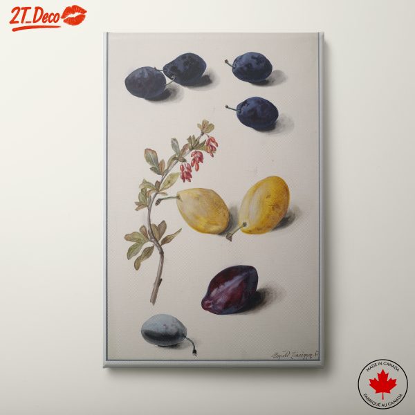 Stylized Fruit Illustration in Abstract Style