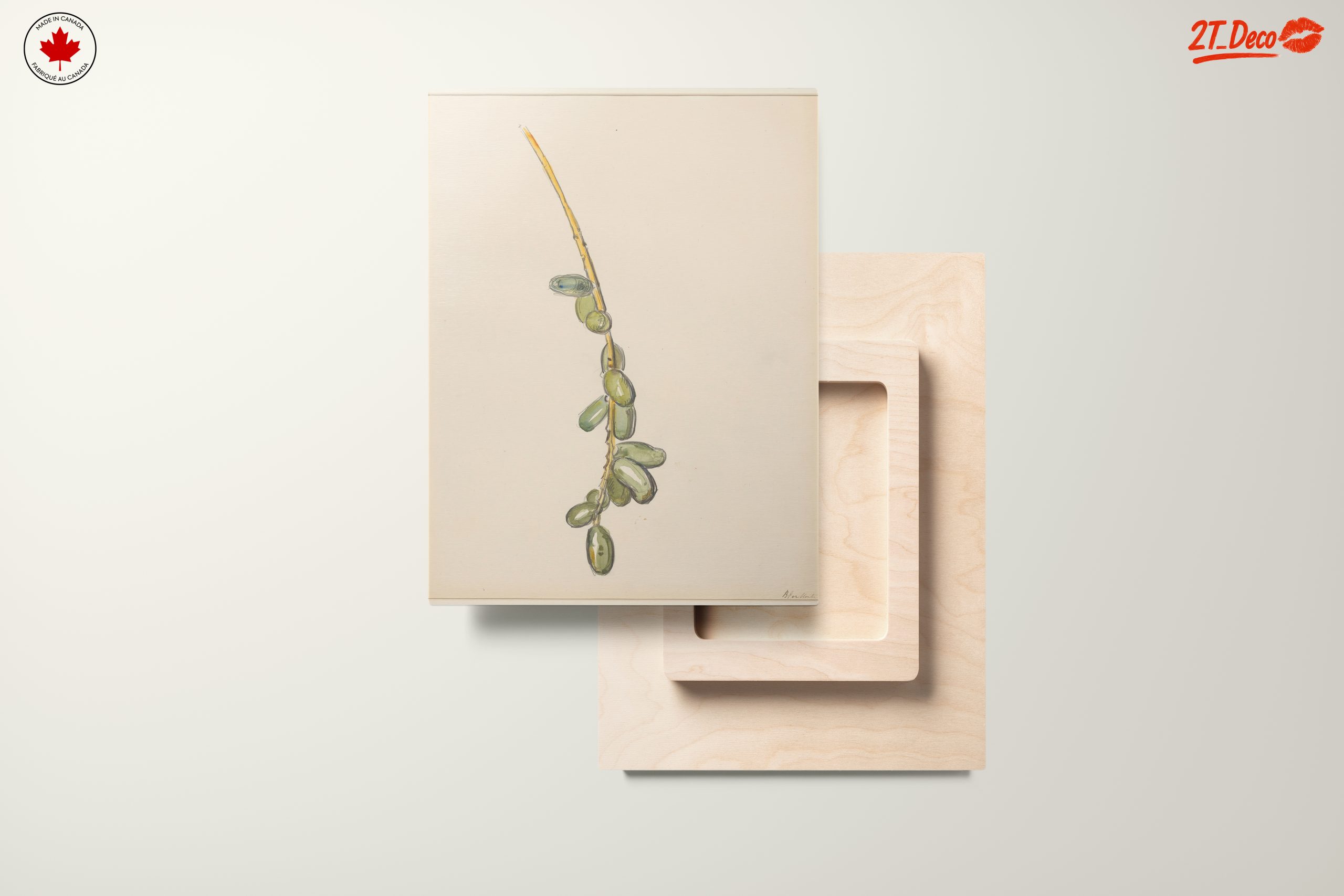 Elegant Botanical Illustration of Green Leaves - Image 11