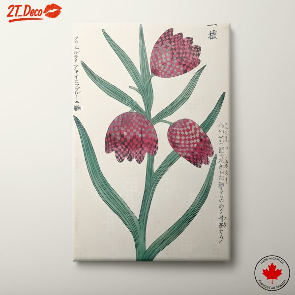 Colorful Botanical Illustration of Flowers 2