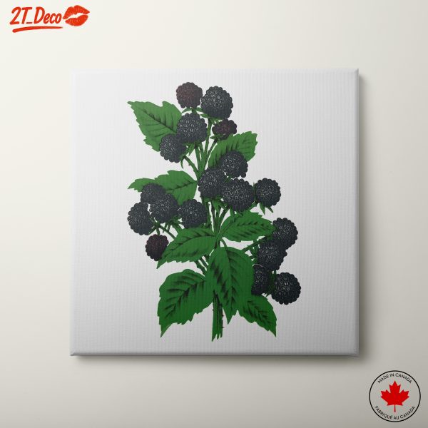 Blackberry Botanical Art Print